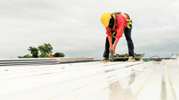 Best Skylight Installation and Repair  in Rochester, PA